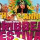Caribbean festival, camden, waterfront